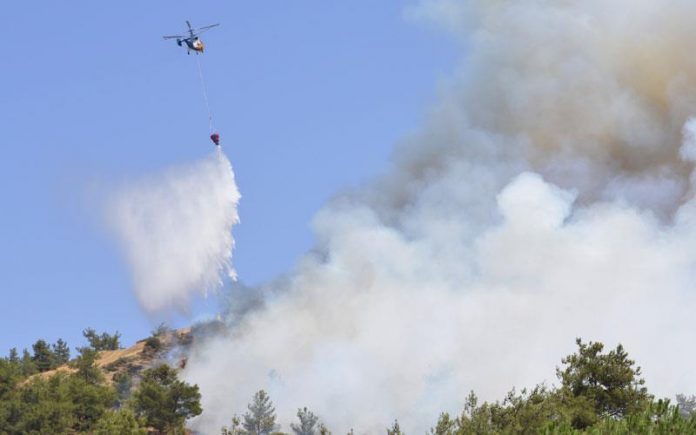 Καίγεται δασική έκταση στην Μεταξάδα Μεσσηνίας Καίγεται δασική έκταση στην Μεταξάδα Μεσσηνίας