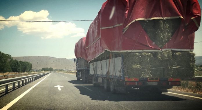 Ο κτηνοτρόφος, η ασχετοσύνη του ΣΔΟίτη και οι ανευθυνοϋπεύθυνοι της δημόσιας διοίκησης Ο κτηνοτρόφος, η ασχετοσύνη του ΣΔΟίτη και οι ανευθυνοϋπεύθυνοι της δημόσιας διοίκησης