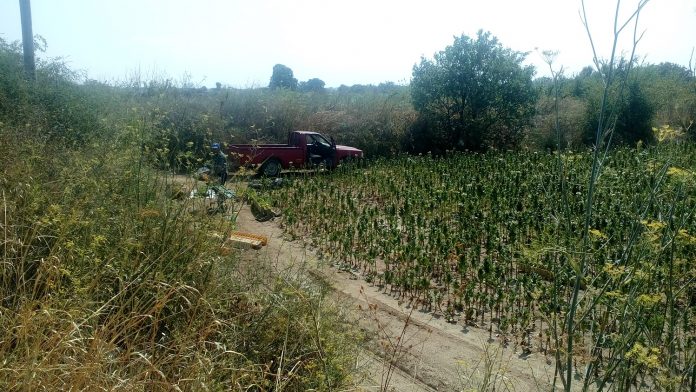 Ερώτηση Ι. Αχμέτ σε Β. Αποστόλου για πρόσθετη ενίσχυση στους Θρακιώτες καπνοκαλλιεργητές Ερώτηση Ι. Αχμέτ σε Β. Αποστόλου για πρόσθετη ενίσχυση στους Θρακιώτες καπνοκαλλιεργητές