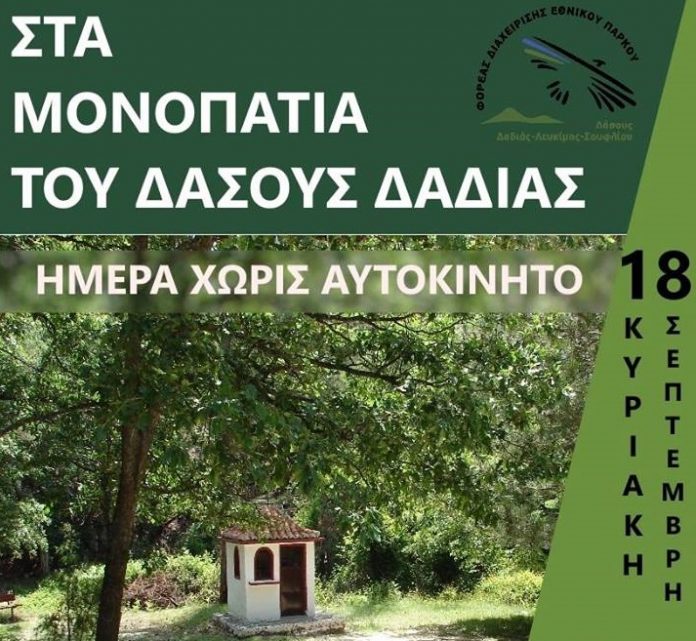 Δάσος Δαδιάς: Πεζοπορία για τον εορτασμό της ημέρας χωρίς αυτοκίνητο Δάσος Δαδιάς: Πεζοπορία για τον εορτασμό της ημέρας χωρίς αυτοκίνητο