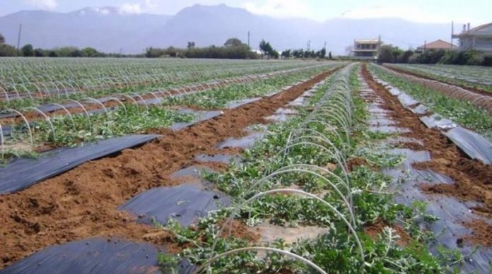 ΕΛΓΑ: Από 19/6 έως 18/7 αιτήσεις αποζημίωσης για καταστροφές του 2013 ΕΛΓΑ: Από 19/6 έως 18/7 αιτήσεις αποζημίωσης για καταστροφές του 2013