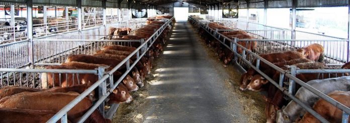 Παράταση στις άδειες σταβλικών εγκαταστάσεων μέχρι το 2018 Παράταση στις άδειες σταβλικών εγκαταστάσεων μέχρι το 2018