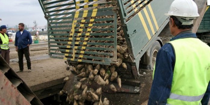Καθορισμός περιόδου συγκομιδής και μεταφοράς αγροτικών προϊόντων έτους 2018 στην Ήπειρο Καθορισμός περιόδου συγκομιδής και μεταφοράς αγροτικών προϊόντων έτους 2018 στην Ήπειρο