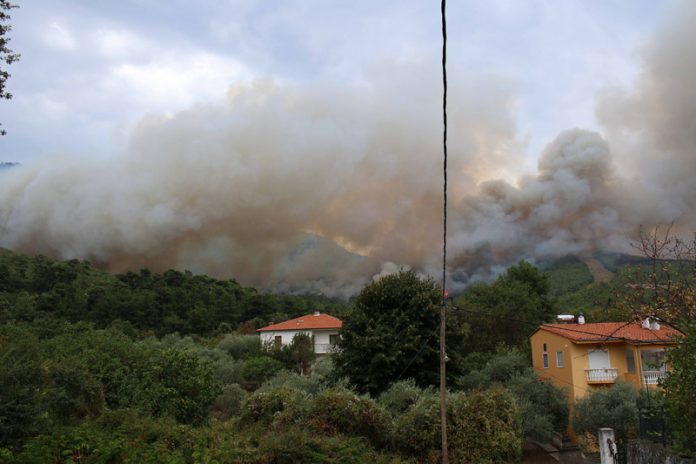 Οι ζημιές που κατέγραψε ο ΕΛΓΑ στην Θάσο Οι ζημιές που κατέγραψε ο ΕΛΓΑ στην Θάσο