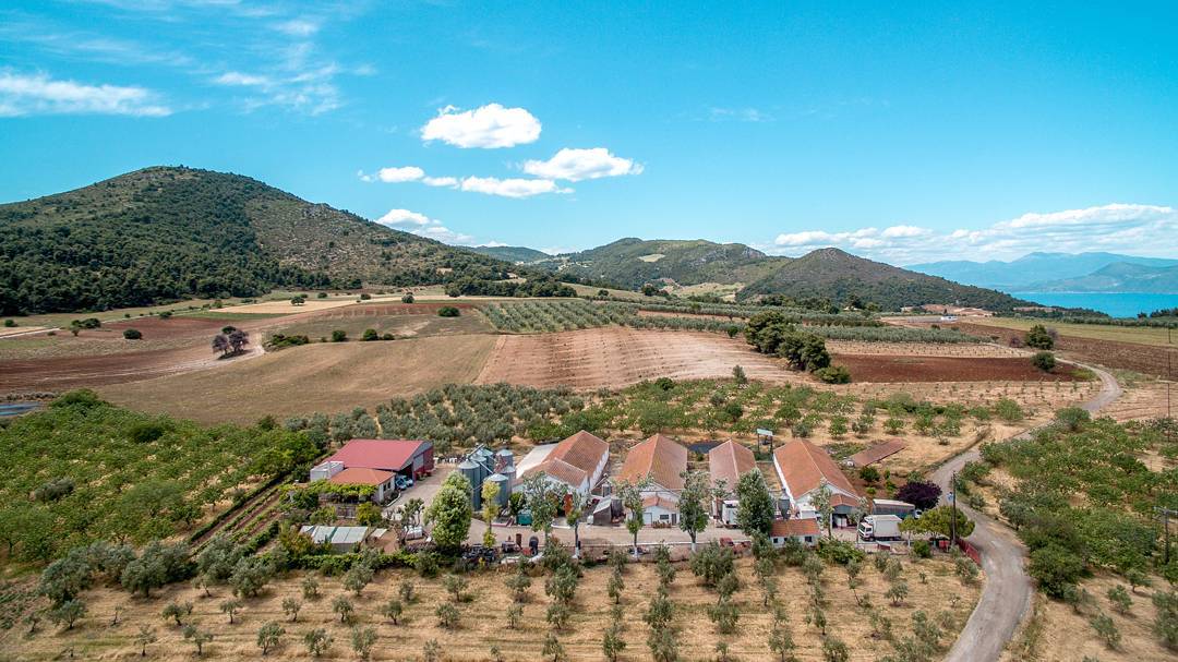 «Στη φάρμα εκτρέφουμε 120 χοιρομητέρες σε ένα περιβάλλον με σπάνιο κλίμα, λόγω της ιδιαίτερης γεωγραφικής θέσης της μονάδας, γεγονός που προσδίδει τα οργανοληπτικά χαρακτηριστικά στο κρέας μας» arapis-xoirina-monada