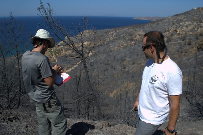 Περισσότερα από 300.000 στρέμματα έγιναν στάχτη το 2016 Περισσότερα από 300.000 στρέμματα έγιναν στάχτη το 2016