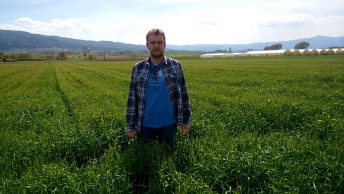 Έρχονται νέες ποικιλίες, φεύγει ένας «παίκτης» από το κριθάρι μπύρας Έρχονται νέες ποικιλίες, φεύγει ένας «παίκτης» από το κριθάρι μπύρας