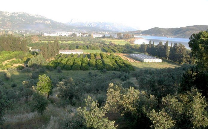 Βαγγέλης Αποστόλου: «Η δενδροκομική σχολή Πόρου θα επαναλειτουργήσει» Βαγγέλης Αποστόλου: «Η δενδροκομική σχολή Πόρου θα επαναλειτουργήσει»