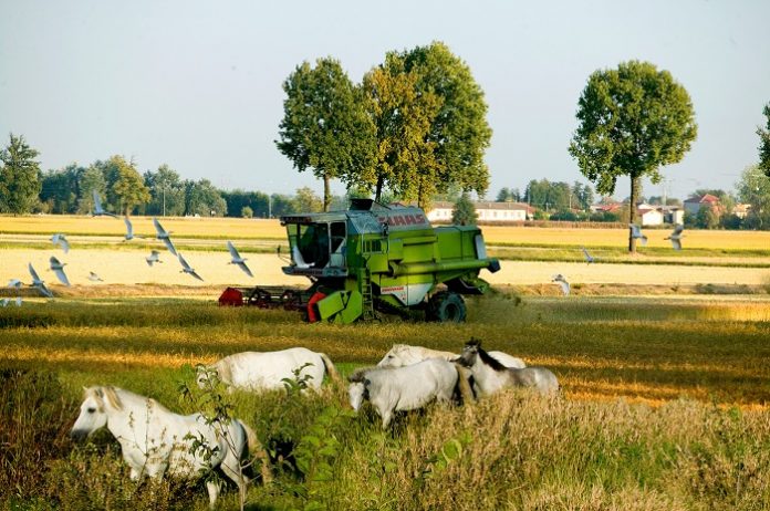 Η γεωργία στο περιθώριο της Ευρώπης για το 2017 Η γεωργία στο περιθώριο της Ευρώπης για το 2017