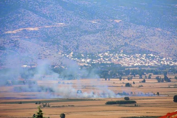 Β. Αποστόλου: Όχι στο κάψιμο της καλαμιάς, ελλοχεύουν κίνδυνοι Β. Αποστόλου: Όχι στο κάψιμο της καλαμιάς, ελλοχεύουν κίνδυνοι