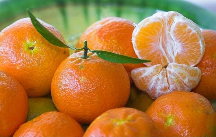 Σε ικανοποιητικά επίπεδα η τιμή της κλημεντίνης Σε ικανοποιητικά επίπεδα η τιμή της κλημεντίνης