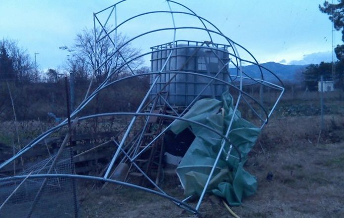 Δηλώσεις για την ανεμοθύελλα της 29ης Δεκέμβρη στην Ροδόπη Δηλώσεις για την ανεμοθύελλα της 29ης Δεκέμβρη στην Ροδόπη