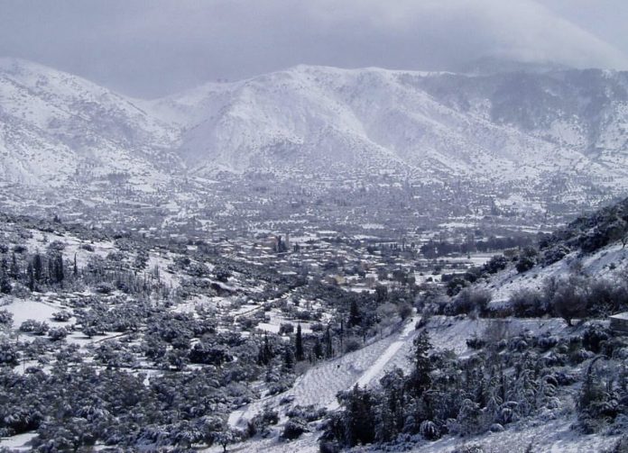 Θ. Κουρεμπές: Υπάρχουν κονδύλια για αποζημιώσεις στην παραγωγή Θ. Κουρεμπές: Υπάρχουν κονδύλια για αποζημιώσεις στην παραγωγή