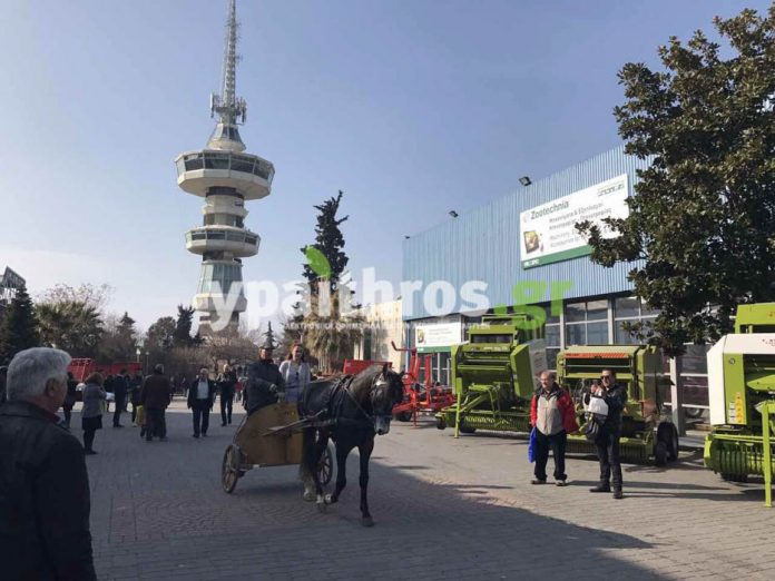 Ρεκόρ επισκεψιμότητας για τη φετινή Zootechnia Ρεκόρ επισκεψιμότητας για τη φετινή Zootechnia