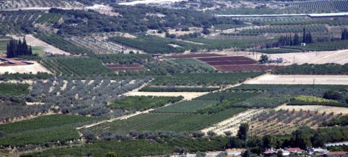 Σ. Φάμελλος: Οι Δήμοι οφείλουν να υποστηρίξουν τα δικαιώματα των πολιτών στους δασικούς χάρτες Σ. Φάμελλος: Οι Δήμοι οφείλουν να υποστηρίξουν τα δικαιώματα των πολιτών στους δασικούς χάρτες