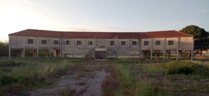 Ηλεία: Ξανά στην ενεργό δράση το Ινστιτούτο Γεωργικής Έρευνας του Κοροίβου