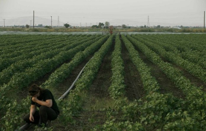 Μίνιμουμ 600 ευρώ το «καπέλο» από τη μείωση του αφορολόγητου Μίνιμουμ 600 ευρώ το «καπέλο» από τη μείωση του αφορολόγητου