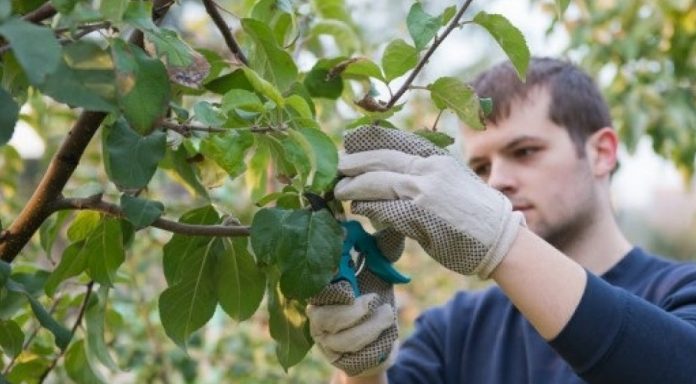 Έρχεται και 2η πρόσκληση για τους νέους αγρότες σε 4 Περιφέρειες της χώρας