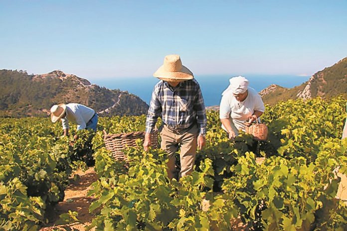 Η επιχειρηματικότητα στη νησιωτική Ευρώπη Η επιχειρηματικότητα στη νησιωτική Ευρώπη