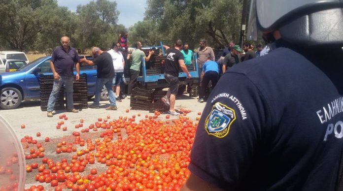 Τυμπάκι: Με ντομάτες υποδέχτηκαν αγρότες τον Γιάννη Τσιρώνη Τυμπάκι: Με ντομάτες υποδέχτηκαν αγρότες τον Γιάννη Τσιρώνη