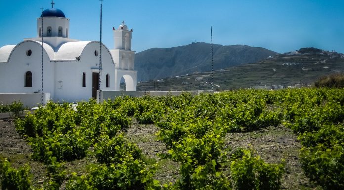 ΒΗΜΑΤΑ προόδου για το ελληνικό κρασί παρά τα βαρίδια ΒΗΜΑΤΑ προόδου για το ελληνικό κρασί παρά τα βαρίδια