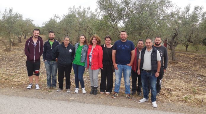 Από τη Σκάρφεια Φθιώτιδας ξεκινά η νέα ομάδα ελαιοπαραγωγών