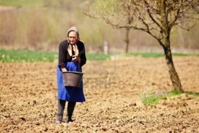 Ραβασάκια για τις εισφορές ΟΓΑ β’ εξαμήνου 2016, έως 30/11 η πληρωμή Ραβασάκια για τις εισφορές ΟΓΑ β’ εξαμήνου 2016, έως 30/11 η πληρωμή