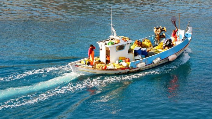 Γ. Μαυρωτάς: «Βυθισμένες στη γραφειοκρατία οι αποζημιώσεις των ψαράδων» Γ. Μαυρωτάς: «Βυθισμένες στη γραφειοκρατία οι αποζημιώσεις των ψαράδων»