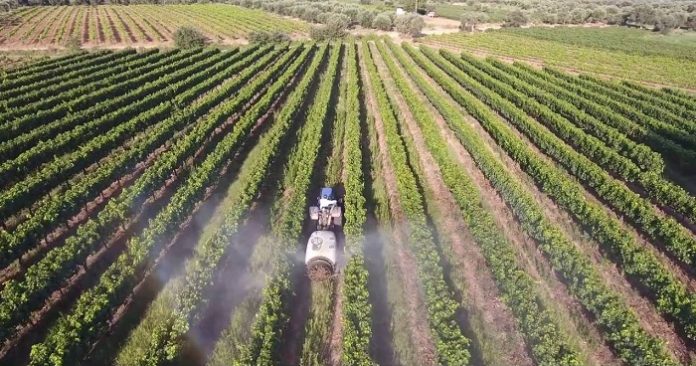 Τιμολόγηση με κανόνες και για τα αγροεφόδια Τιμολόγηση με κανόνες και για τα αγροεφόδια