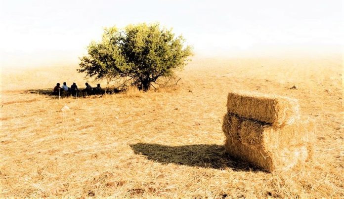 Ένα ιστορικό κόσμημα στην πέτρινη πολιτεία της Καρύταινας Αναβίωση του Θερισμού και του Αλωνίσματος στην Καρύταινα