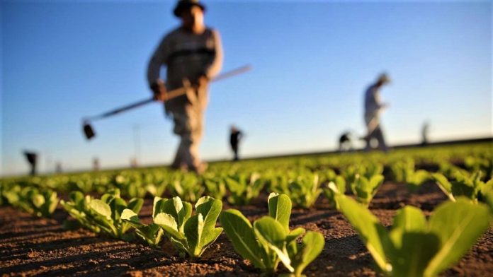 nees proslipseis ypourgeio agrotikis anaptyxis Νέες προσλήψεις στο Υπουργείο Αγροτικής Ανάπτυξης στην Αττική