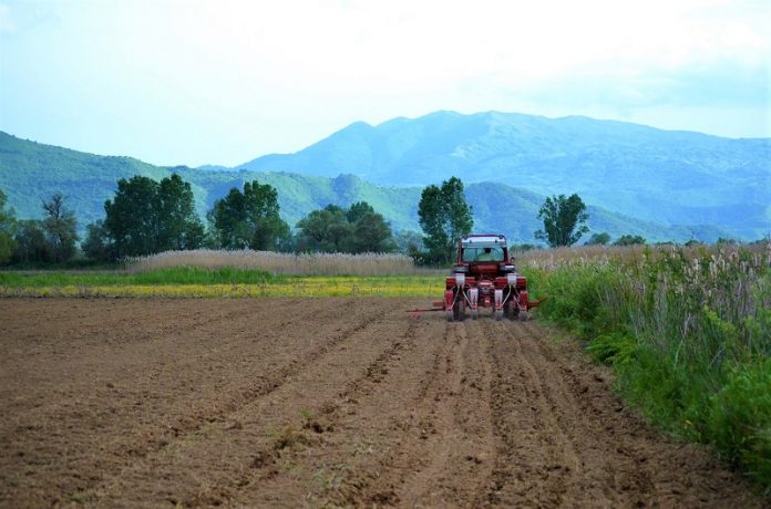 potizoun diarkos antimetopisoun leipsidria neyrokopi1 Ποτίζουν διαρκώς για να αντιμετωπίσουν την λειψυδρία στο Νευροκόπι