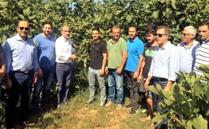 kalliergeies neon agroton ileias episkefthike katsifaras Τις καλλιέργειες νέων αγροτών της Ηλείας επισκέφθηκε ο Α. Κατσιφάρας