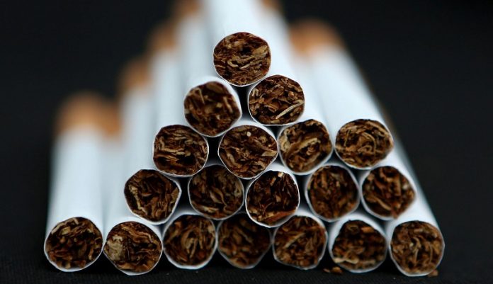 kapnika proionta mexri narkotika zontanous krokodeilous katasxesan teloneiakoi Από καπνικά προϊόντα μέχρι ναρκωτικά και... ζωντανούς κροκόδειλους κατέσχεσαν οι τελωνειακοί