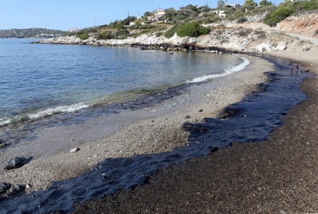 Ο Σαρωνικός εκπέμπει SOS: Καρέ καρέ η μεγάλη οικολογική καταστροφή στη Σαλαμίνα (Βίντεο - Φωτό)