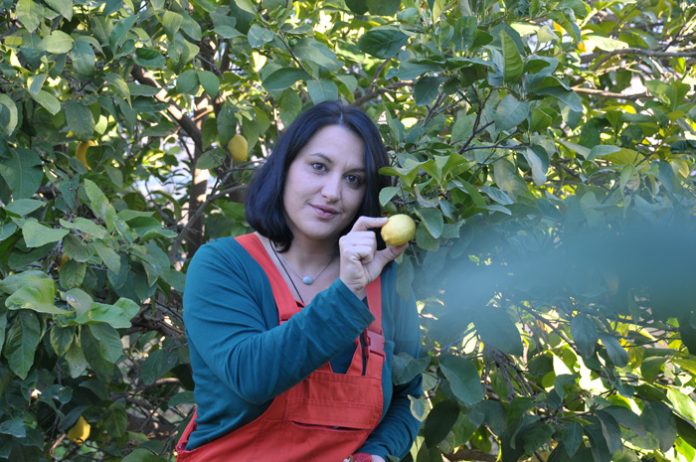 dimitra-tsakiri-agrotissa dimitra-tsakiri-agrotissa