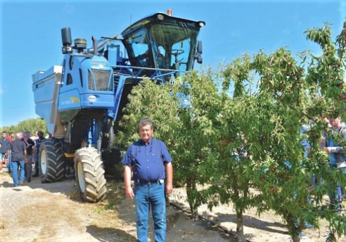 imerida tei thessaly kalliergeia xiron karpon thessalia Ημερίδα από το ΤΕΙ Θεσσαλίας: «η Καλλιέργεια των Ξηρών Καρπών στην Θεσσαλία»
