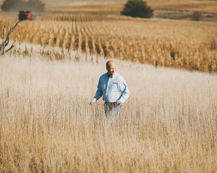 postgmo1200