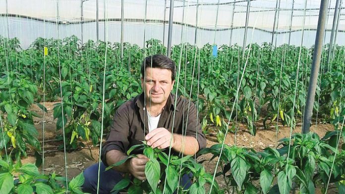 sigxronos-agroths-kaparakis-ierapetra Συνεχής προσπάθεια εφαρμογής καινοτόμων καλλιεργητικών πρακτικών και χρήση ευφυούς γεωργίας