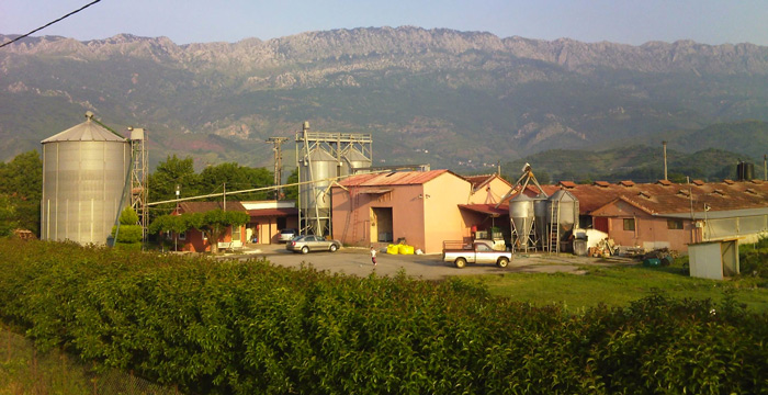 Εκτροφή, σφαγή και τυποποίηση από δύο νέα αδέλφια κτηνοτρόφων που συνεχίζουν την οικογενειακή παράδοση Εκτροφή, σφαγή και τυποποίηση από δύο νέα αδέλφια κτηνοτρόφων που συνεχίζουν την οικογενειακή παράδοση