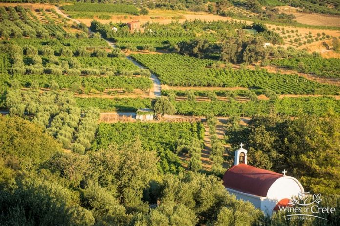 krasia kritis le-monde Τα κρασιά της Κρήτης στη LE MONDE