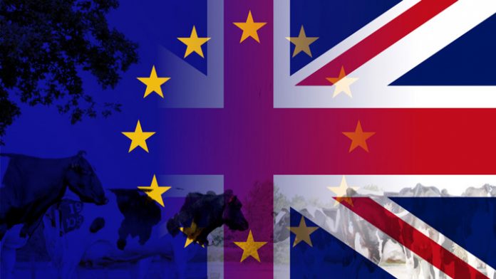 brexit-meat brexit-meat