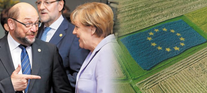 cap-2020-agrotes-merkel-soults