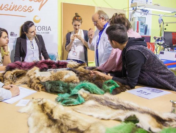 lista anamonis epixeiriseis 43 diethni ekthesi gounas kastoria