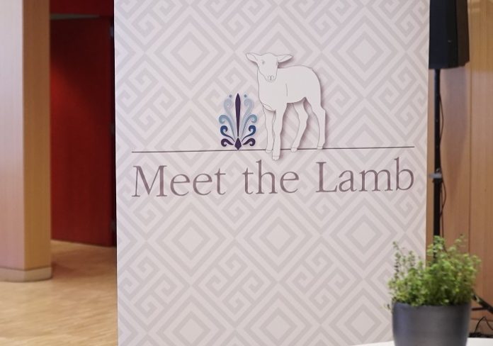 Meet the lamb: Δράσεις για το ευρύ κοινό σε Αθήνα και Θεσσαλονίκη Meet the lamb: Δράσεις για το ευρύ κοινό σε Αθήνα και Θεσσαλονίκη