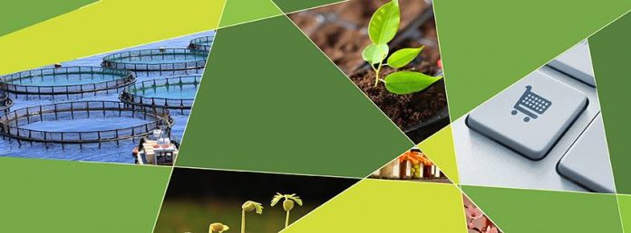 branding-agrotika-proionta branding-agrotika-proionta