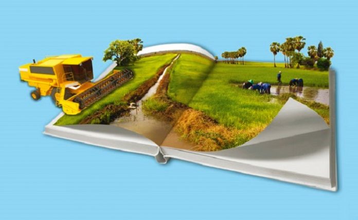 internet anoigei neous dromous agrotiki anaptyxi kinas Το Ιντερνετ ανοίγει νέους δρόμους στη αγροτική ανάπτυξη της Κίνας