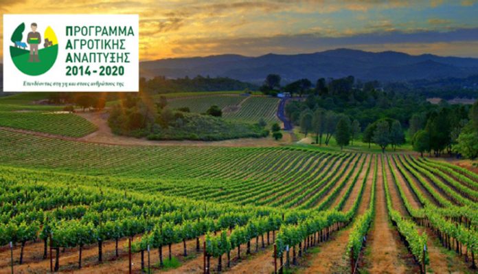 pe kritis entaxi ypopsifion neon georgon programma agrotikis anaptyxis ΠΕ Κρήτης: Ένταξη όλων των υποψήφιων νέων γεωργών στο πρόγραμμα Αγροτικής Ανάπτυξης