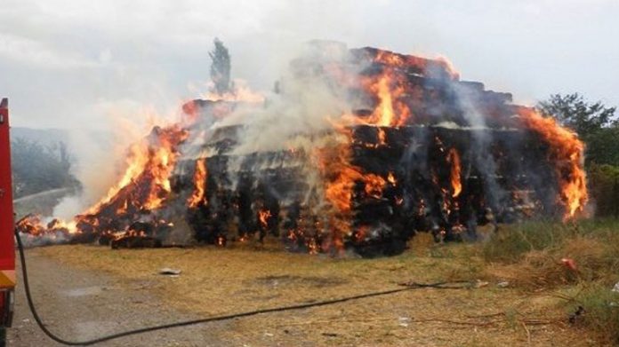 pyrkagia ekapse poimniostasio arketa zoa farsala Πυρκαγιά έκαψε ποιμνιοστάσιο και αρκετά ζώα στα Φάρσαλα