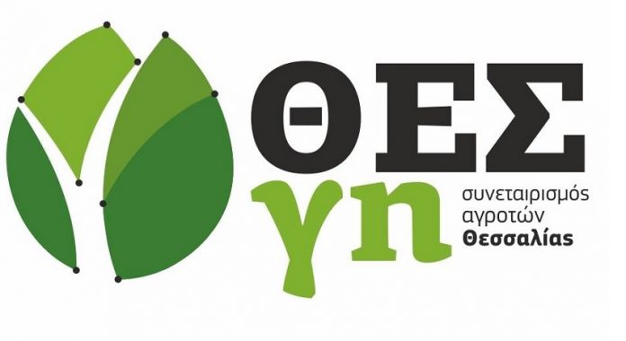 Στον ηλίανθο με συμβολαιακή μπαίνει ο ΘΕΣγη Στον ηλίανθο με συμβολαιακή μπαίνει ο ΘΕΣγη